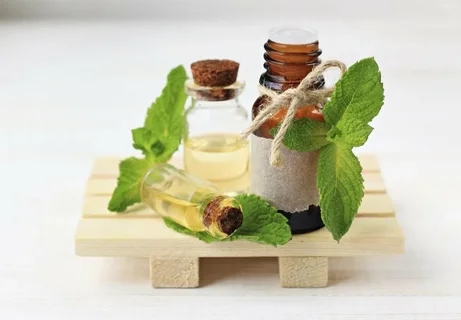 Introduction de l'huile essentielle de la menthe