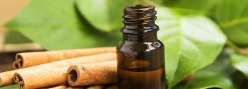 Apprenez les informations de base de l'huile de cannelle et divers effets 