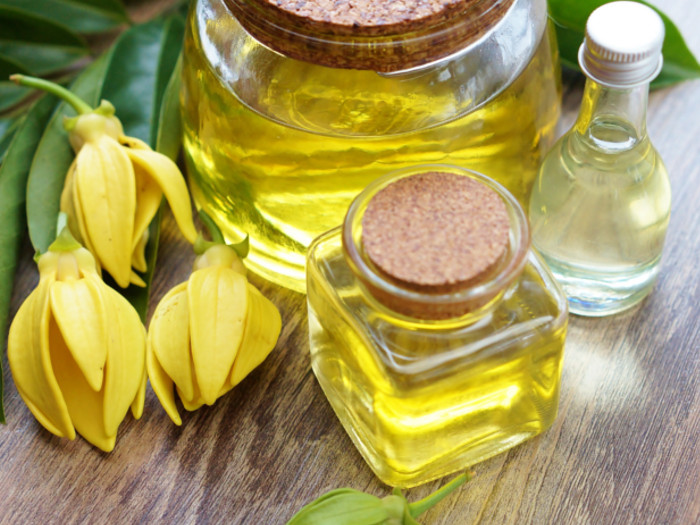 Qu'est-ce que l'huile essentielle Ylang-ylang?