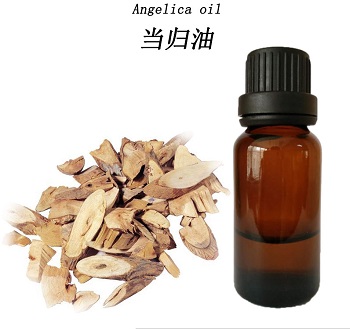 Apprenez les meilleures informations d'huile essentielle de racine Angelica de chinaplantoil